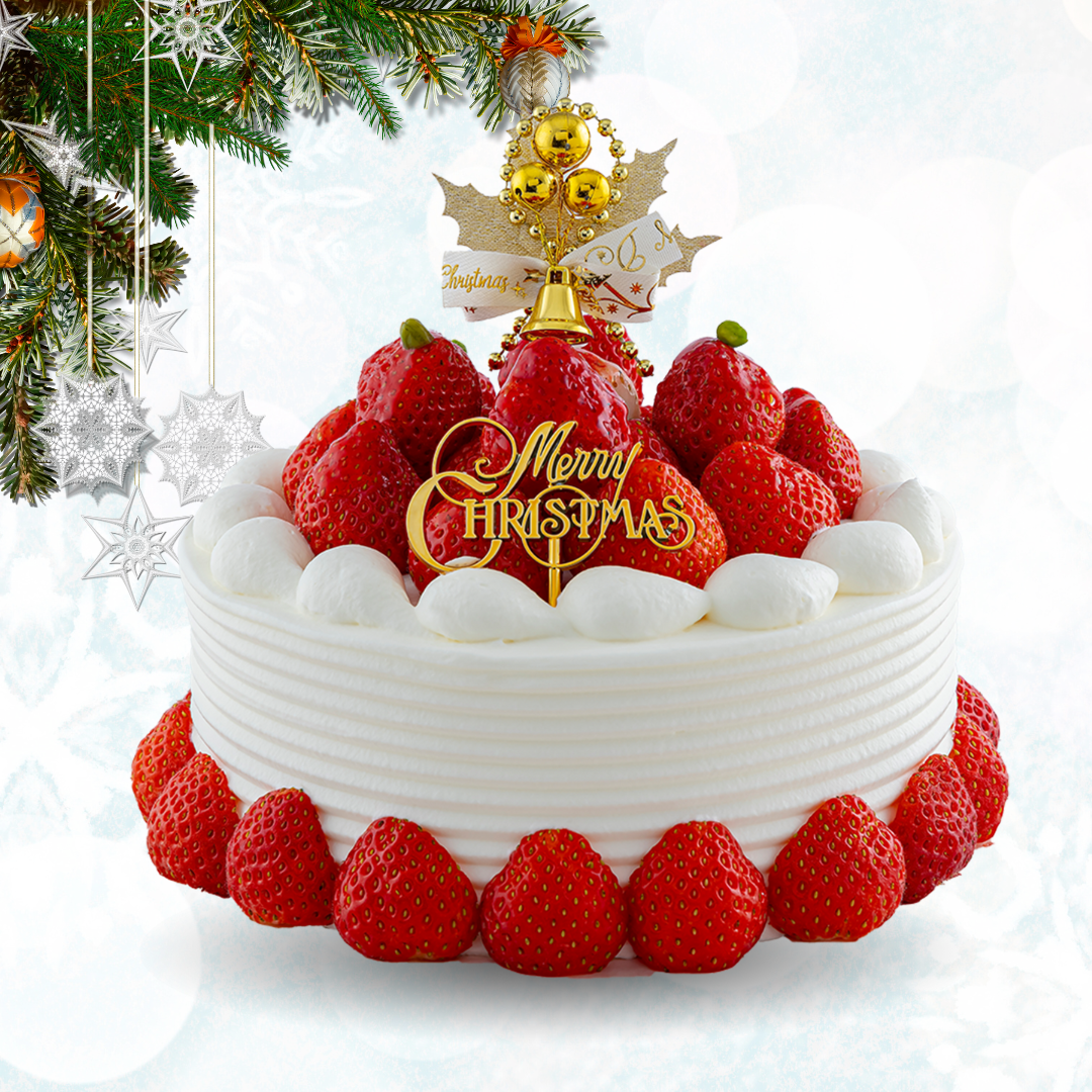 2025Christmas『エリザベート』【限定30台】